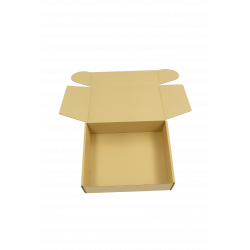 caja de 43x35x16 cm usada, reutilizable,  canal simple , cartón marrón resistente, automontable
